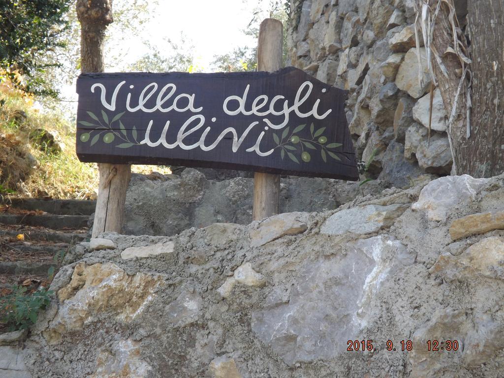 סן אנג'לו Appartamento Villa Degli Ulivi חדר תמונה